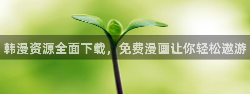 胆大党包子漫画：韩漫资源全面下载，免费漫画让你轻松遨游